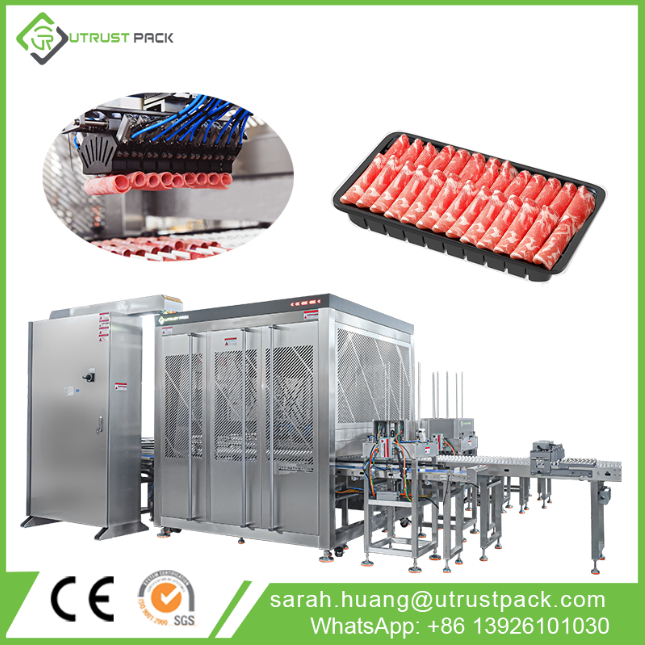 Sorting Line Food Industry Packaging Beef Roll Gripper Robotic Arm Pick And Place Delta Robot