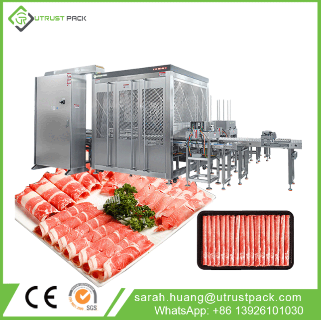 High Speed Meat Product Packing Line Food Sorting Parallel Packaging Industrial Delta Robot
